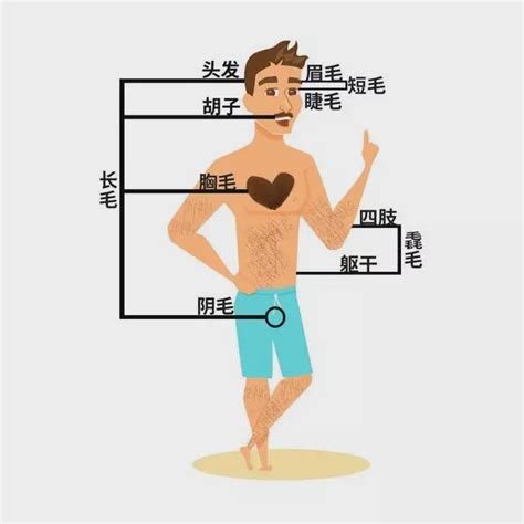 手臂突然長一根很長的毛|为啥你身上会长几根特别长的毛？